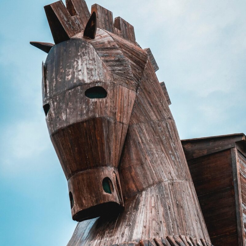 Das trojanische Pferd