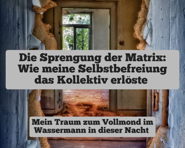 Die Sprengung der Matrix